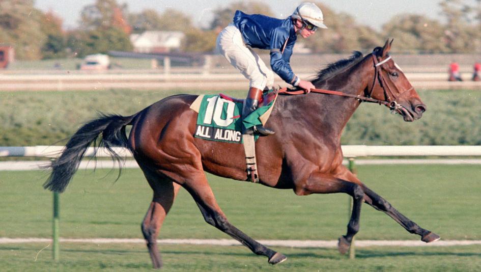 All Along, Turf Classic, Aqueduct, Eclipse Award, 1983 Horse of the Year, Coglianese photos, Patrick Biancone, Daniel Wildenstein All Along, Turf Classic, Aqueduct, Eclipse Award, 1983 Horse of the Year, Coglianese photos, Patrick Biancone, Daniel Wildenstein